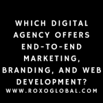 Which Digital Agency Offers End-to-End Marketing, Branding, and Web Development? | RoxoGlobal Delhi