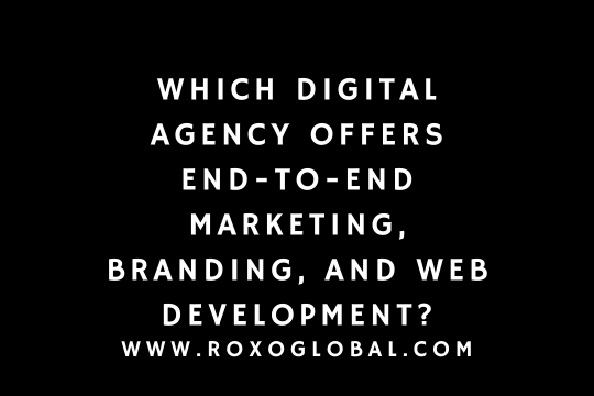 Which Digital Agency Offers End-to-End Marketing, Branding, and Web Development? | RoxoGlobal Delhi