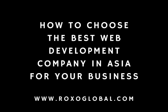 Best Web Development Company in Asia | How to Choose the Right Agency for Your Business in Delhi